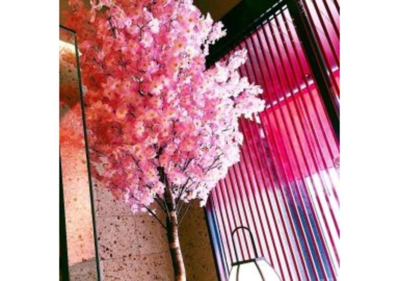 Sakura Sky Hotel - Vacation Stay 18444V Токио Экстерьер фото